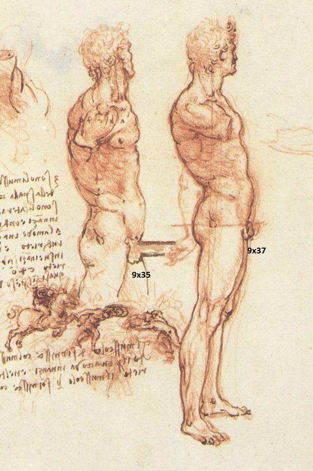 Anatomie_humaine_par_léonard_de_vinci.JPG